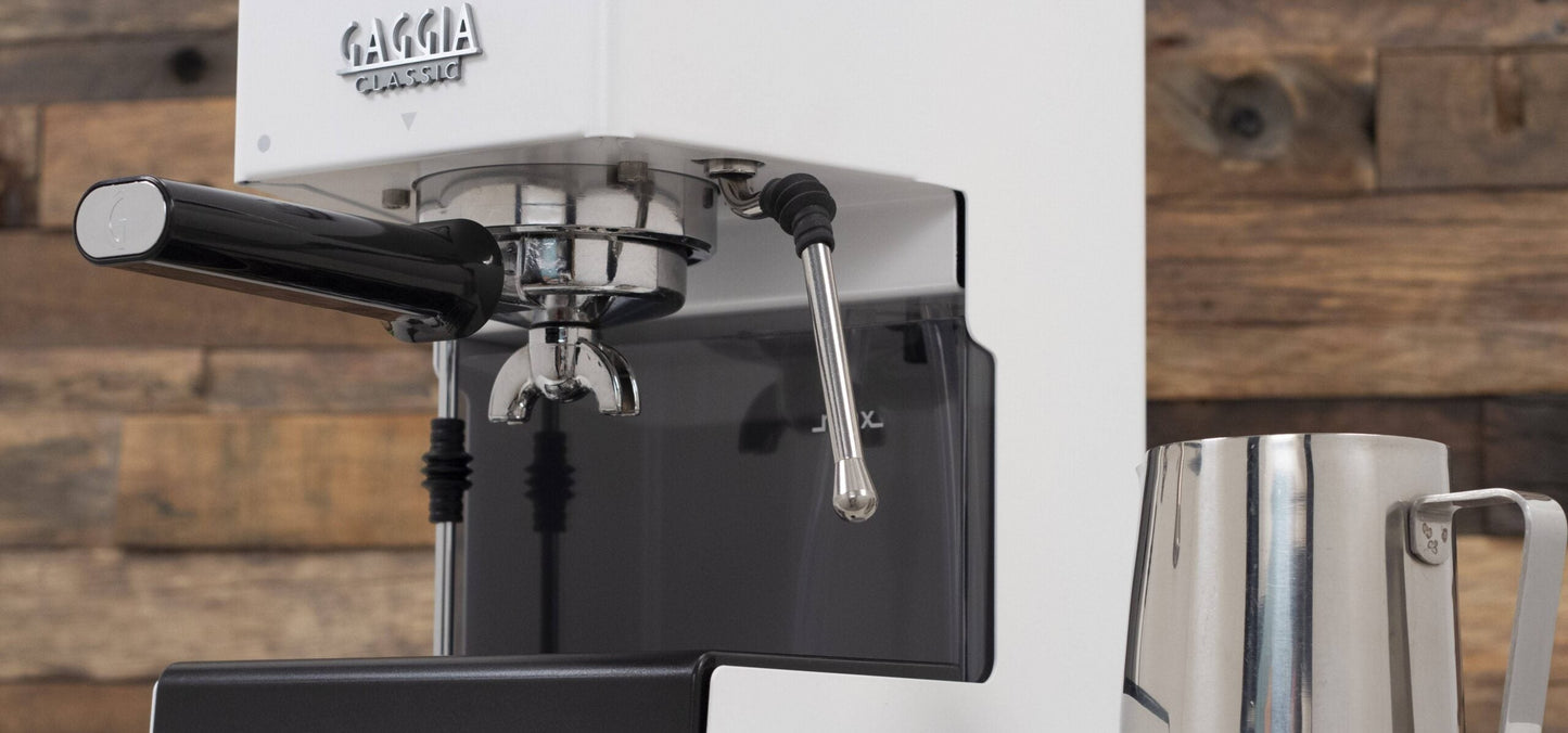 Gaggia RI9380/48 Classic Pro Espresso Machine, 900 Milliliters, Polar White